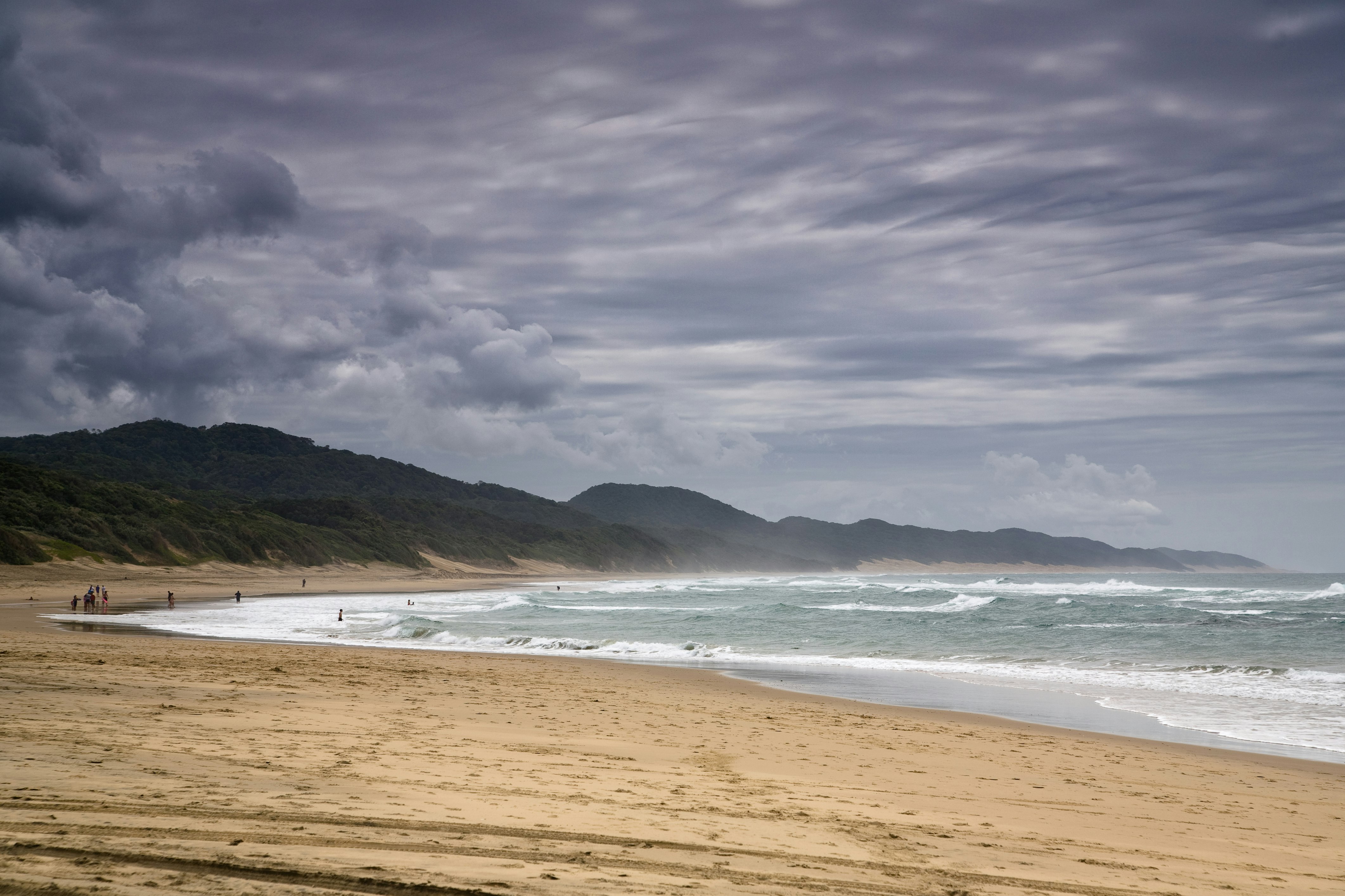 photo of people walking in seashore